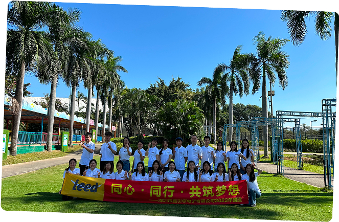 Regular team-building events and activities to strengthen our bond.